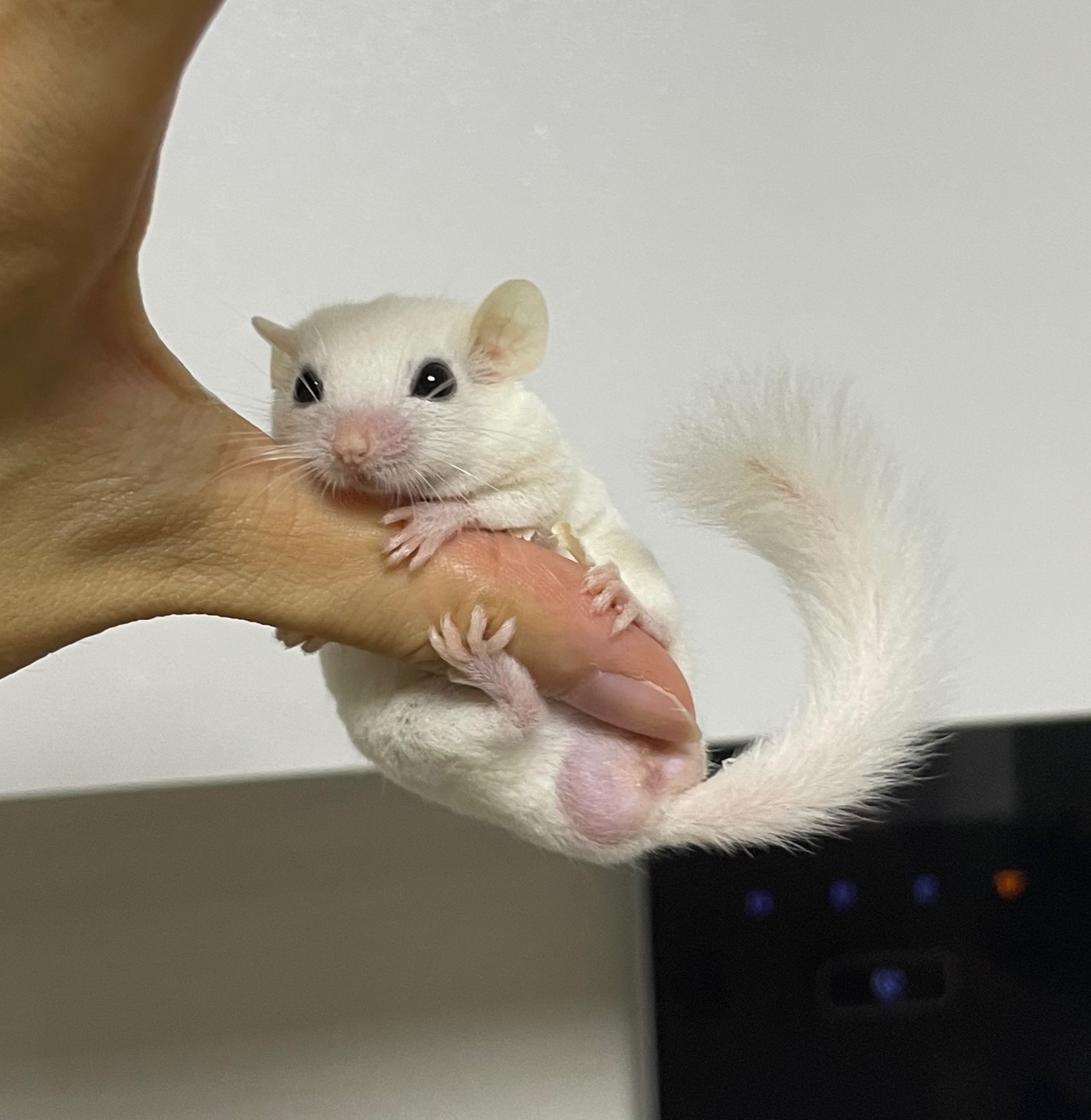 똥이야~